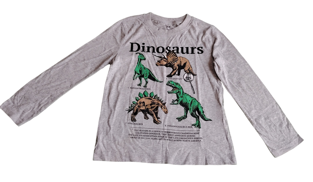 Haut manches longues garçon H&M 5-6 ans