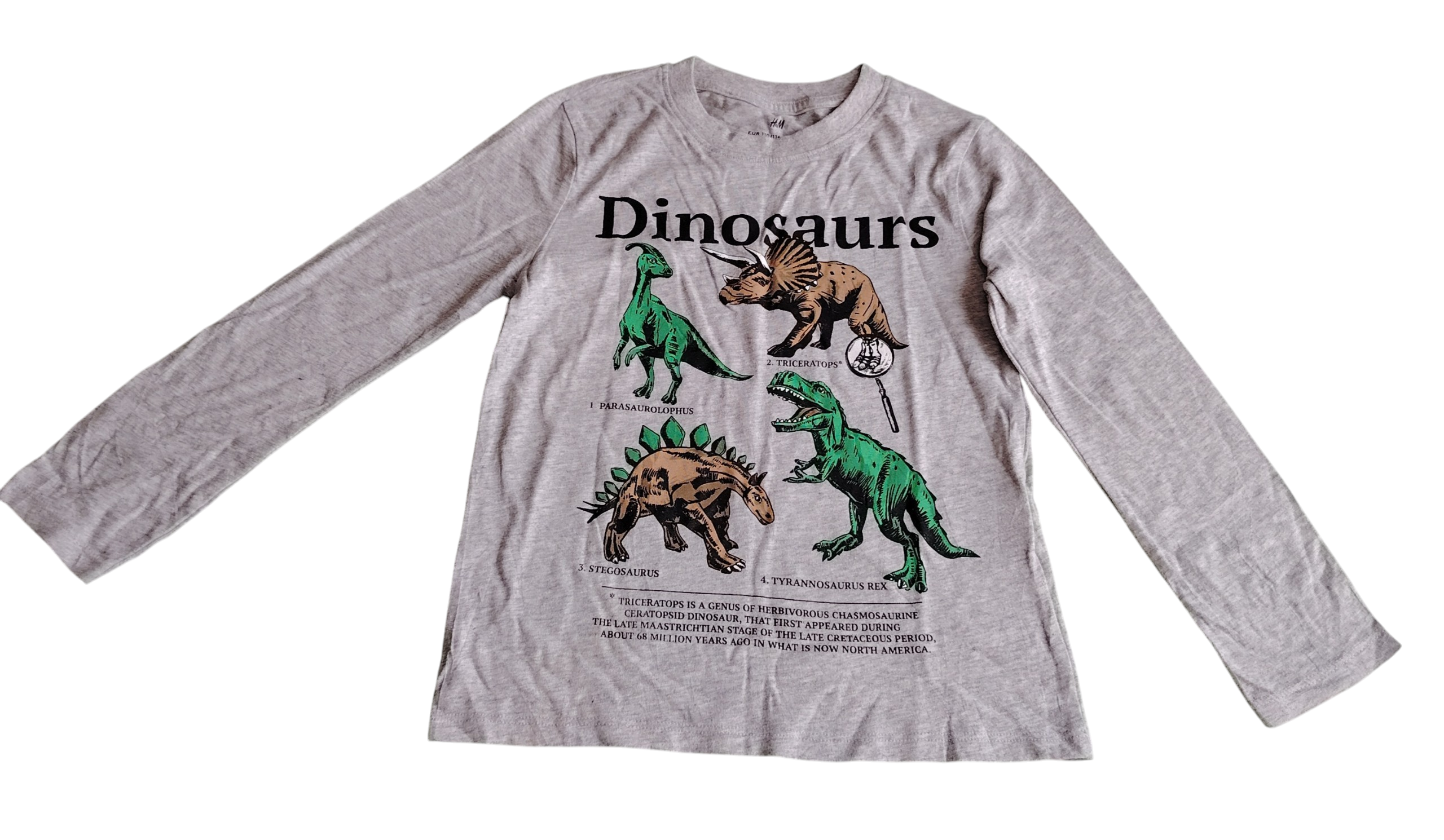 Haut manches longues garçon H&M 5-6 ans