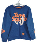 Pull garçon 9-10 ans