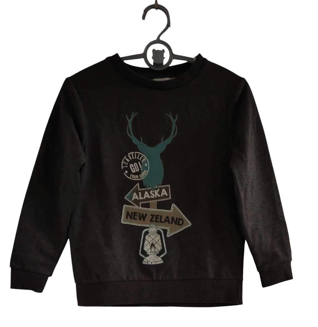 Pulls garçon Orchestra neuf destockage sans étiquettes 6 ans