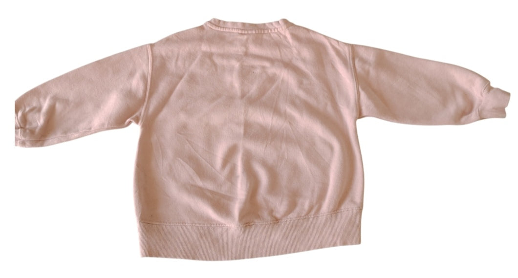 Pulls fille Zara